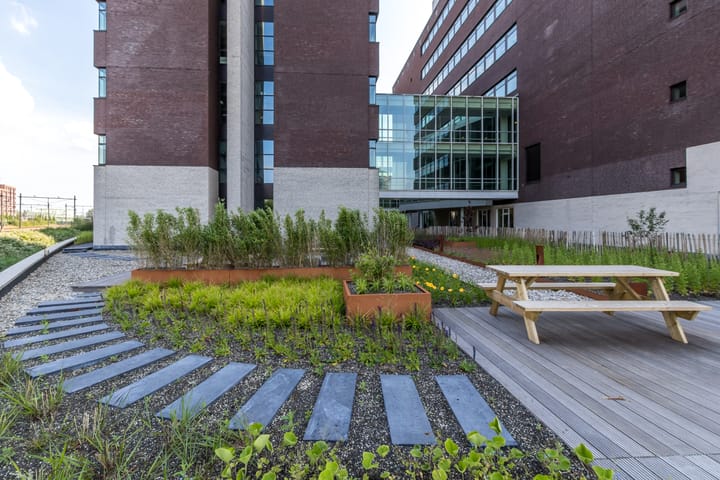 Photo 2 of Zuidpoolsingel 69