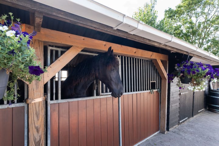 Foto 47 van Kleasterwei 16