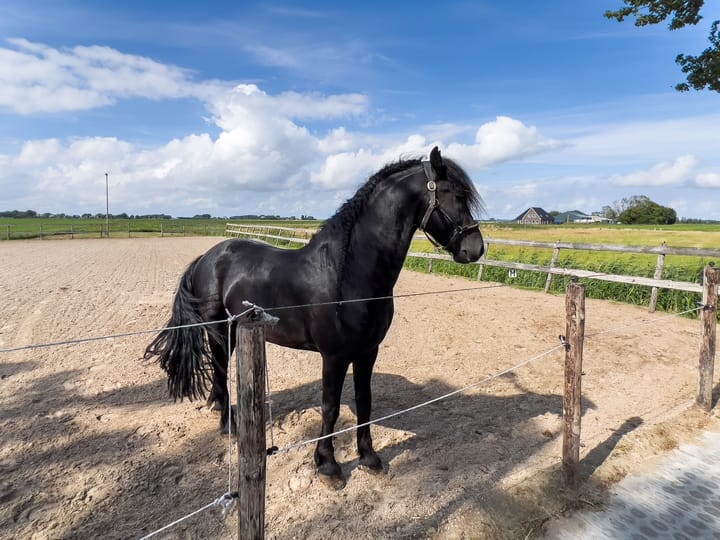 Foto 58 van Kleasterwei 16