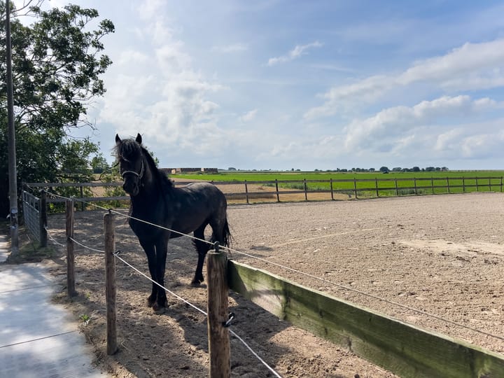 Foto 59 van Kleasterwei 16