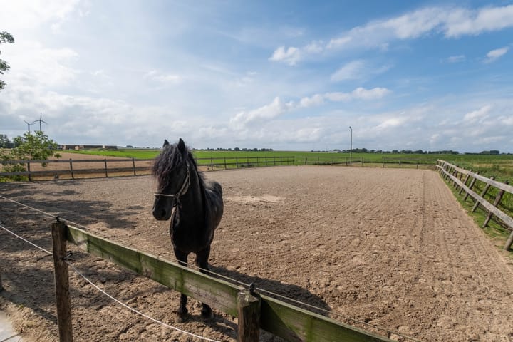 Foto 55 van Kleasterwei 16