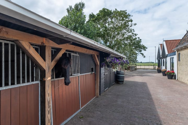 Foto 69 van Kleasterwei 16