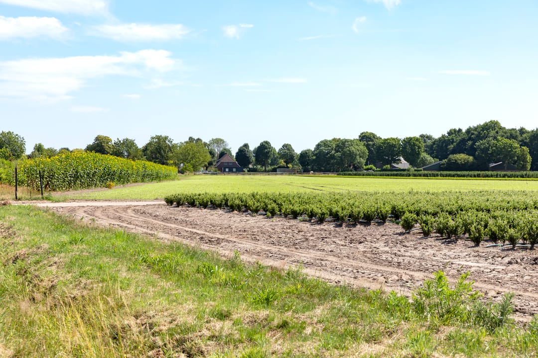 Foto 31 van Heesakker 4-B