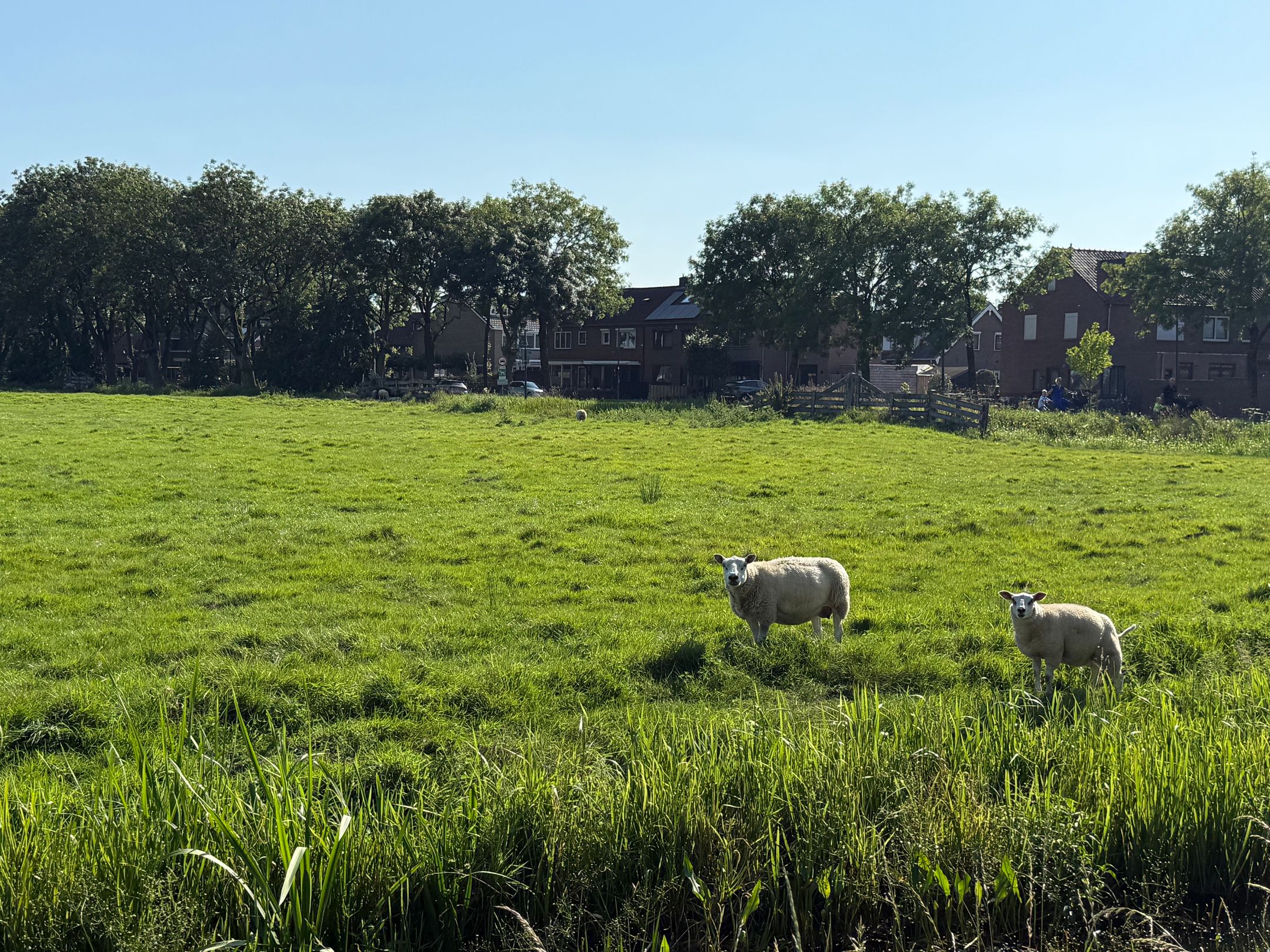 Photo 6 of Oosterstraat 29