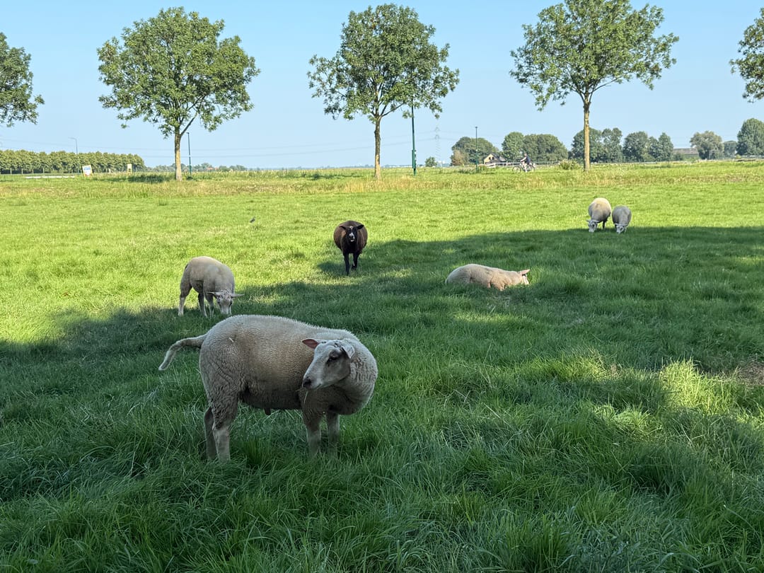 Photo 11 of Oosterstraat 29