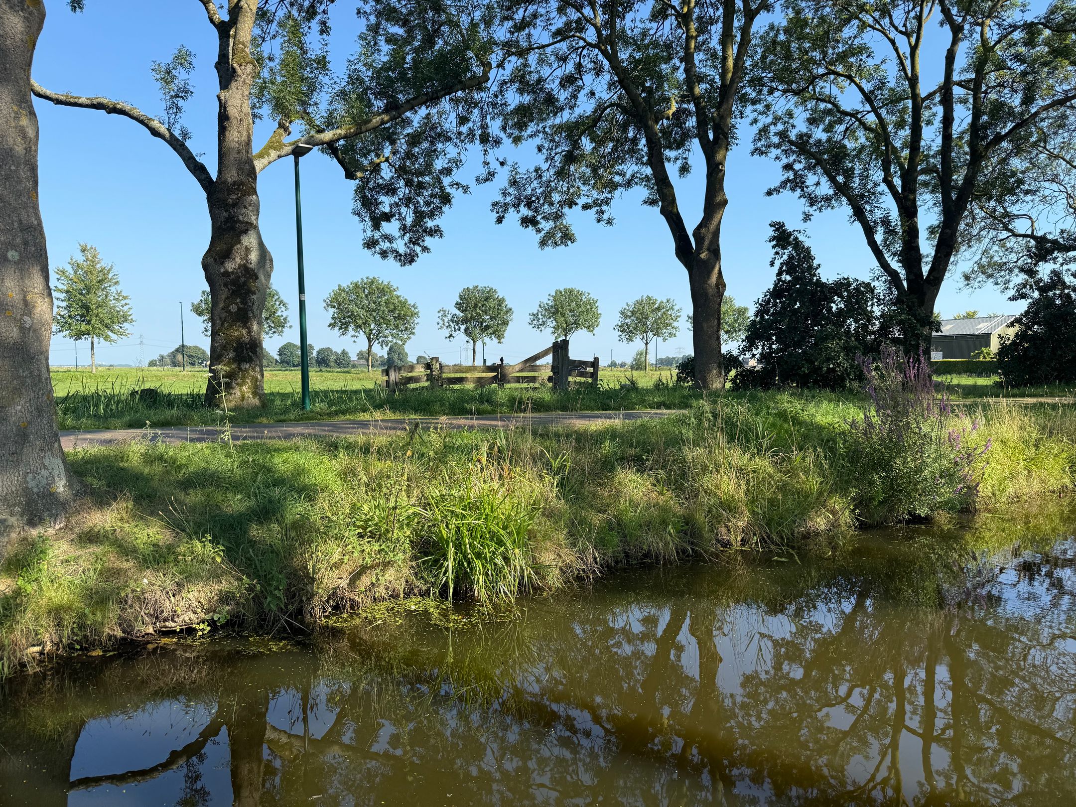 Foto 48 van Oosterstraat 29