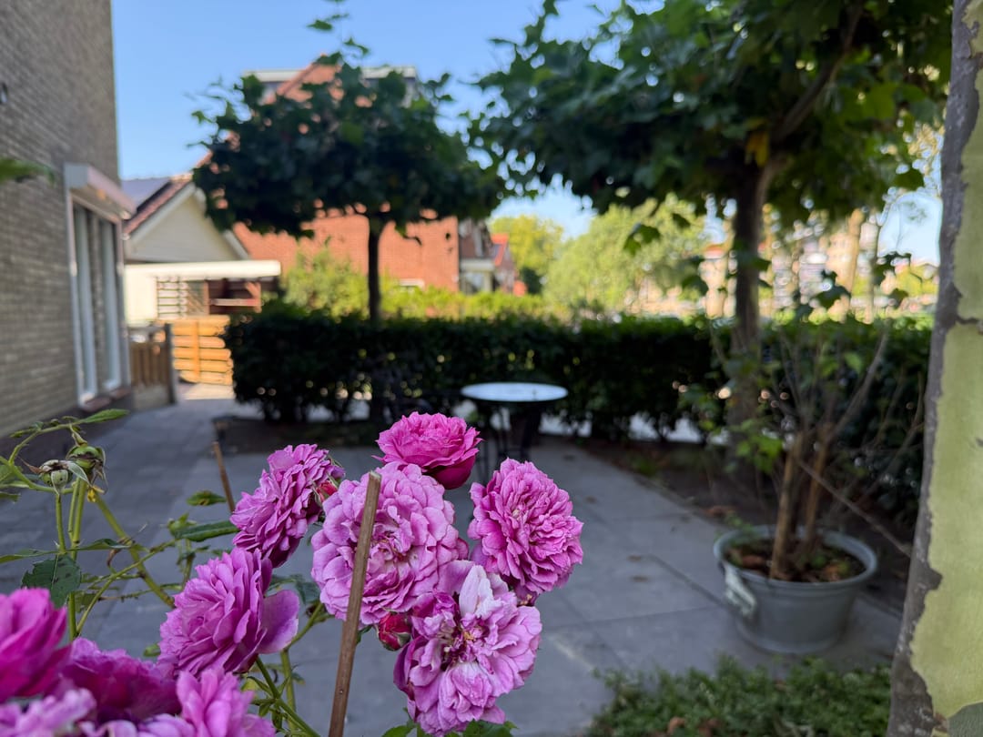 Photo 46 of Oosterstraat 29