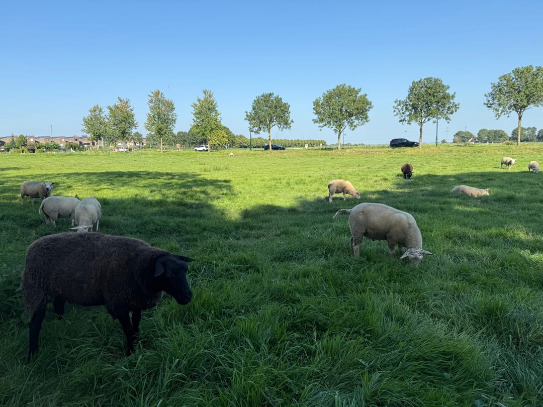 Foto 53 van Oosterstraat 29