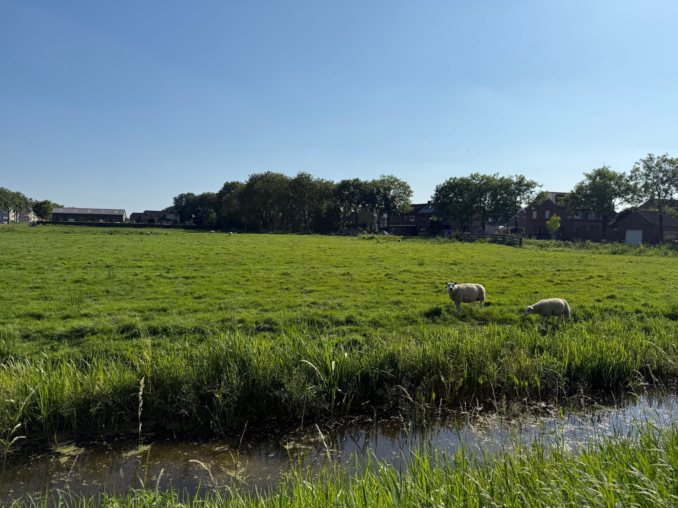 Foto 57 van Oosterstraat 29