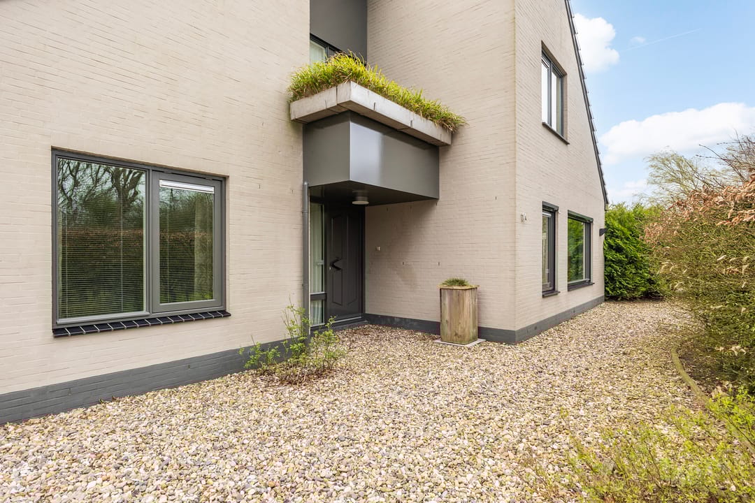 Foto 8 van Waltingaleane 1-A