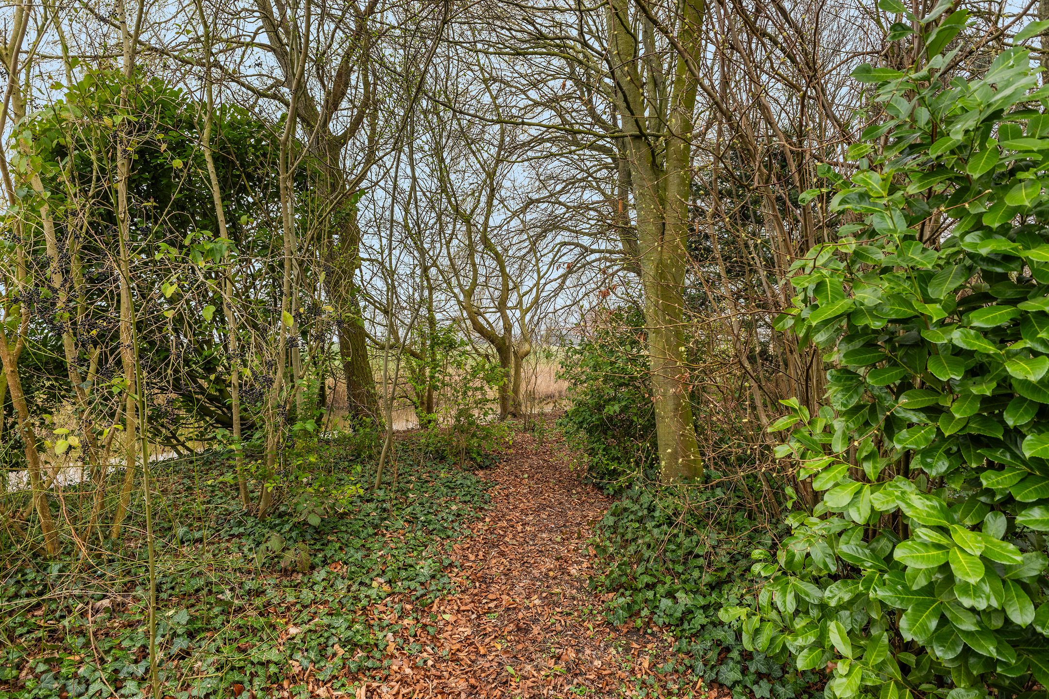 Foto 72 van Waltingaleane 1-A