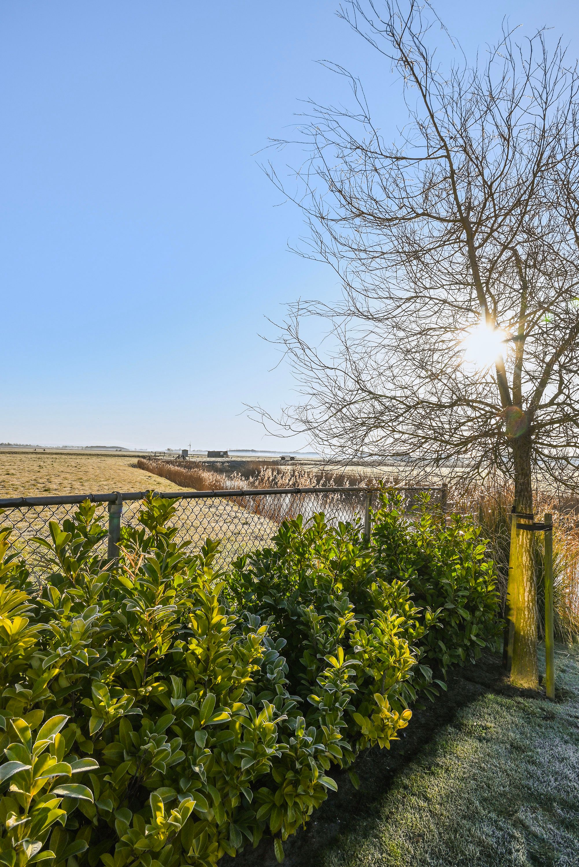 Foto 75 van Waltingaleane 1-A