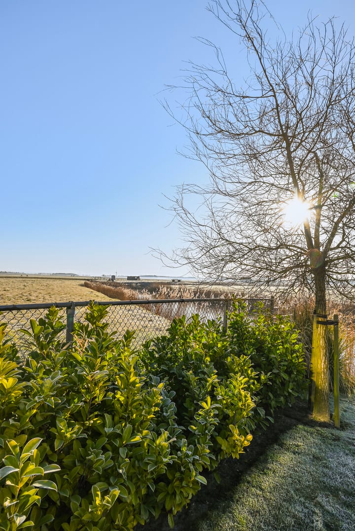 Foto 75 van Waltingaleane 1-A