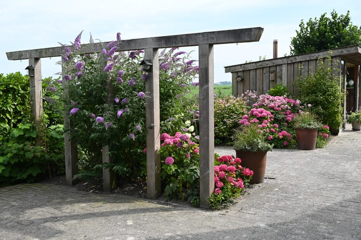 Foto 87 van Waltingaleane 1-A