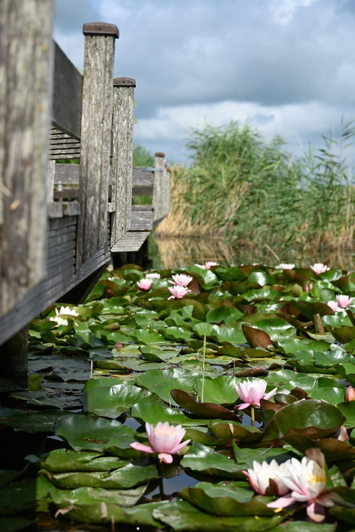 Foto 88 van Waltingaleane 1-A