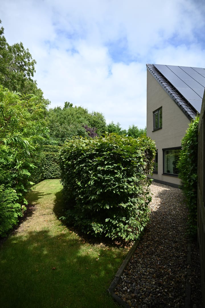 Foto 90 van Waltingaleane 1-A