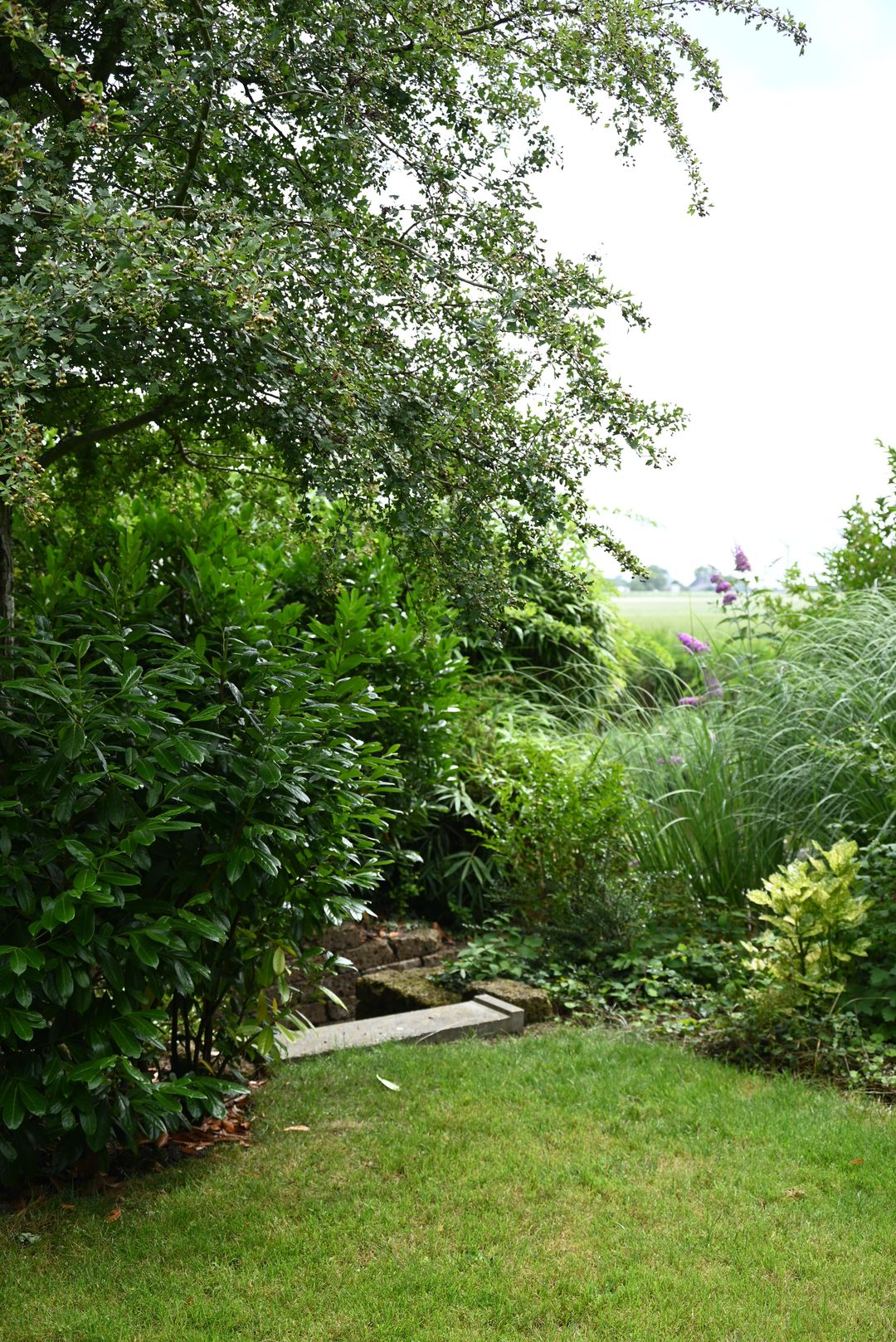 Foto 91 van Waltingaleane 1-A