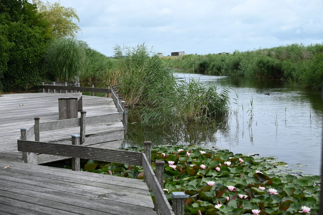 Foto 92 van Waltingaleane 1-A