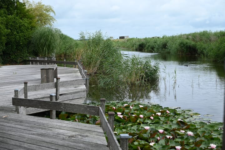 Foto 92 van Waltingaleane 1-A