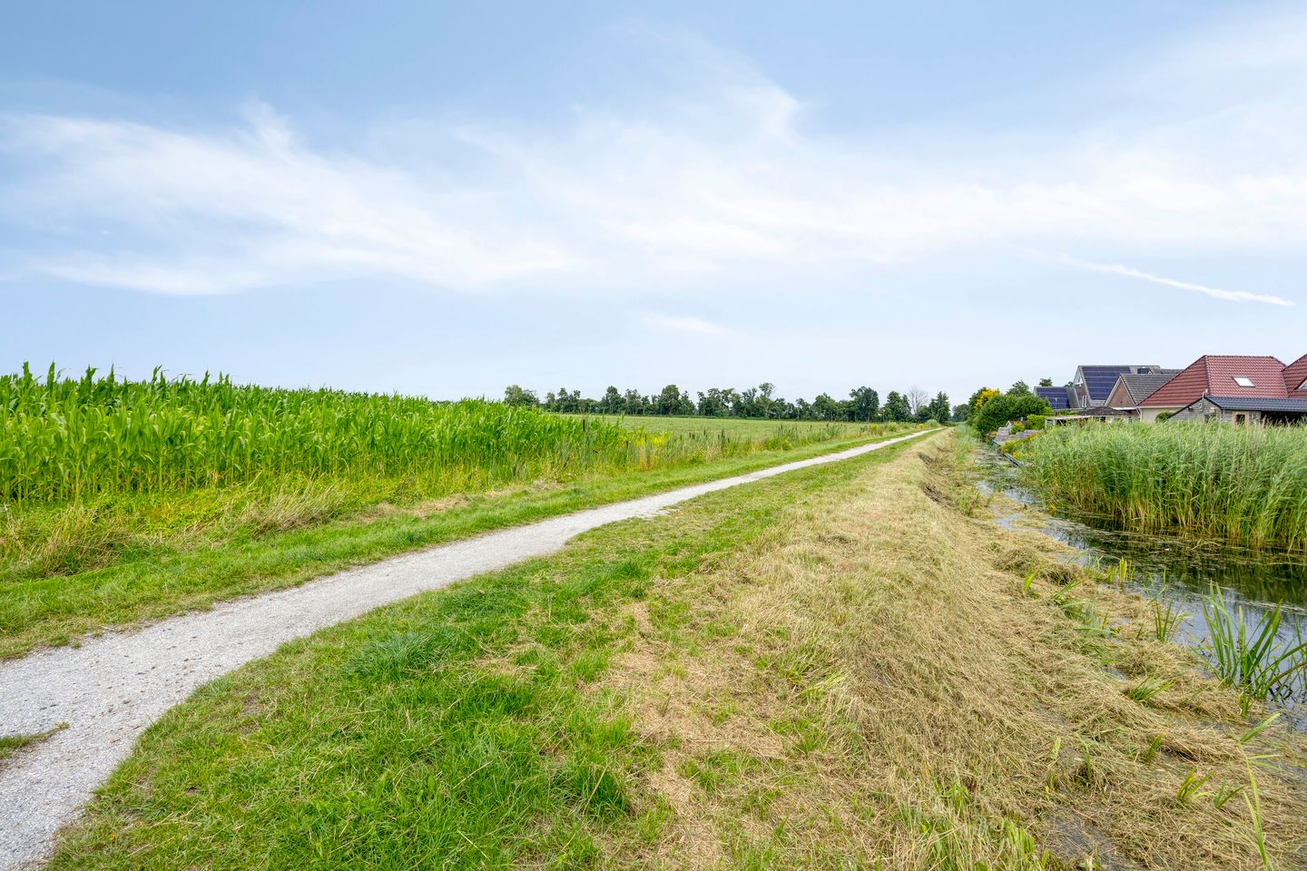 Foto 49 van Gruttostraat 2