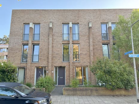 undefined main image