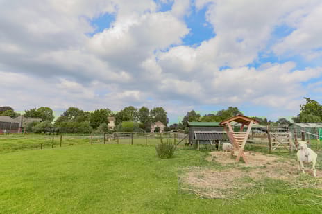 Westerbuurt 11 tertiary image