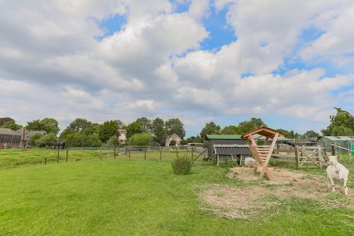 Foto 3 van Westerbuurt 11