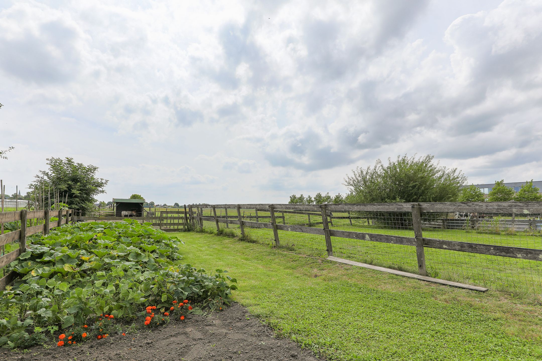 Foto 57 van Westerbuurt 11