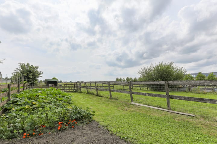 Foto 57 van Westerbuurt 11