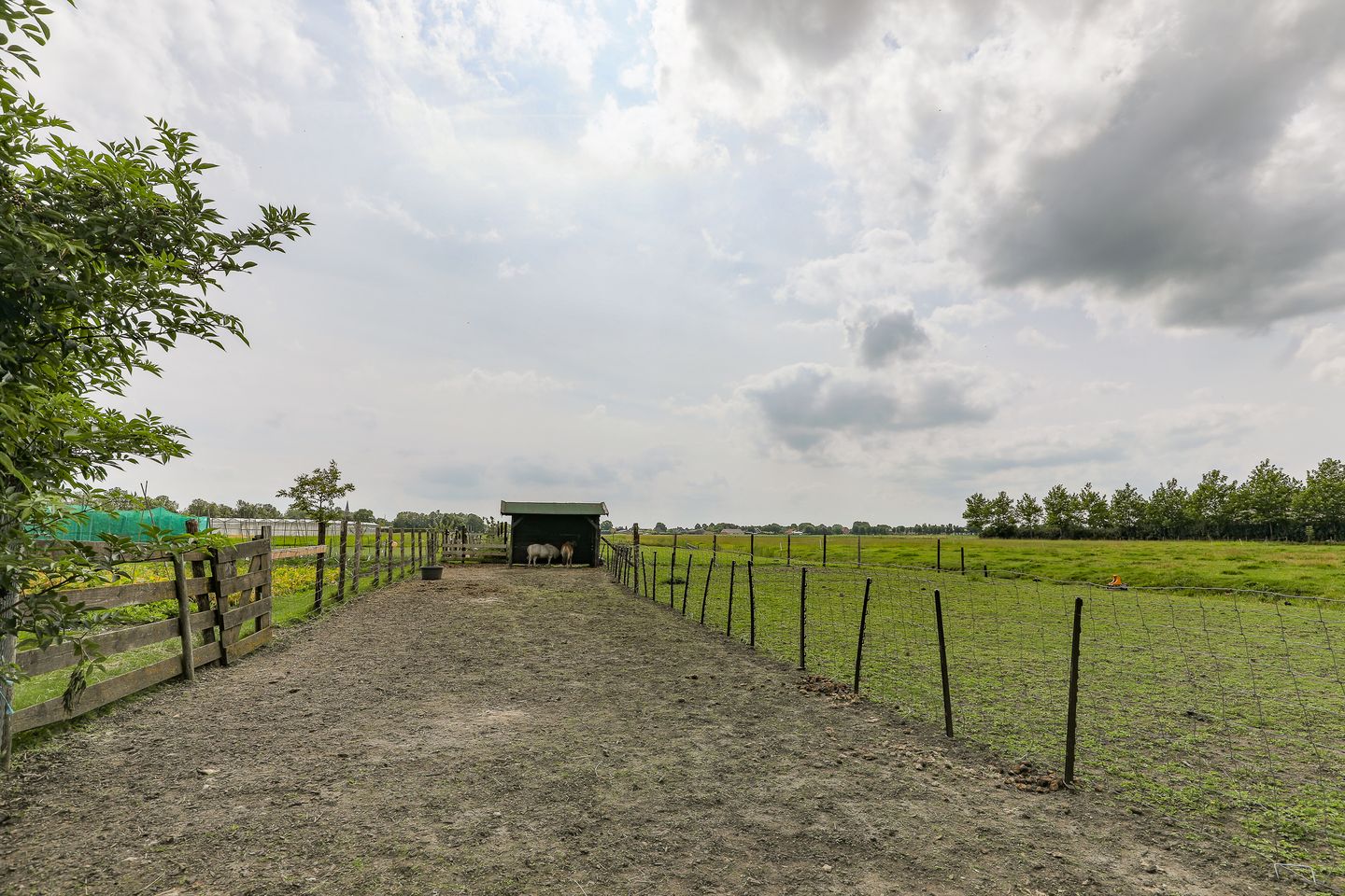 Foto 59 van Westerbuurt 11