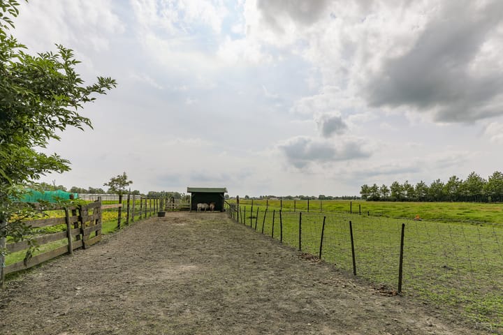 Foto 59 van Westerbuurt 11