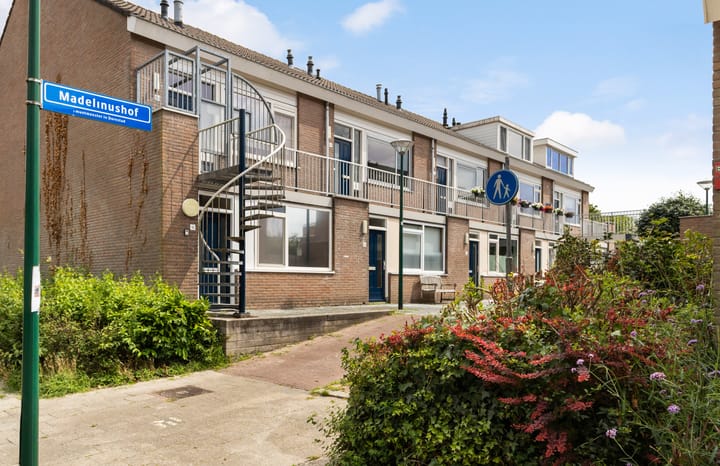 undefined main image