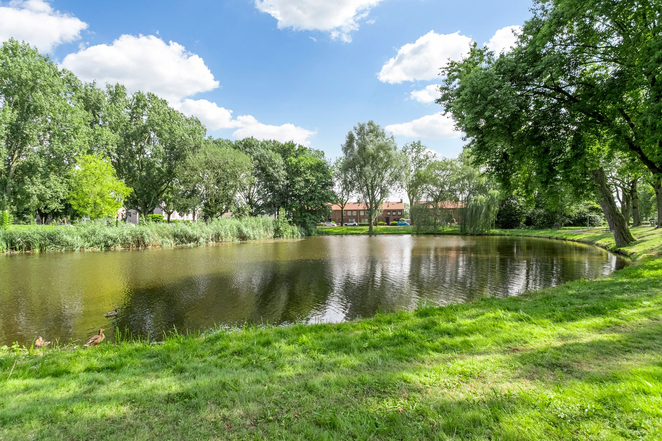 Photo 48 of Kraanvogellaan 17