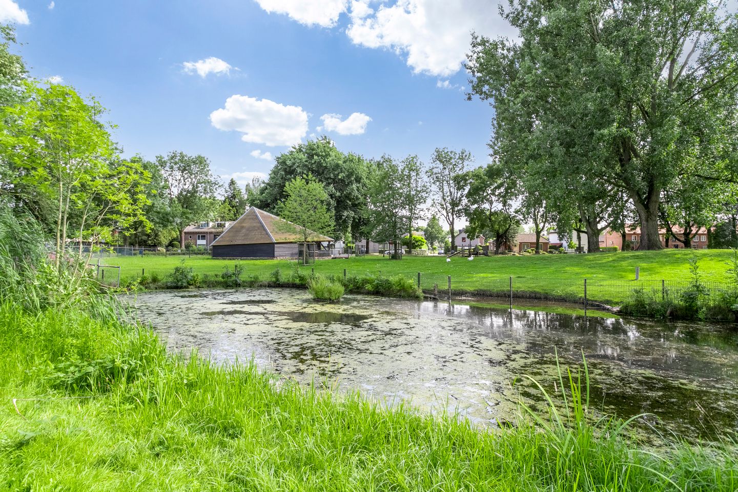 Photo 50 of Kraanvogellaan 17