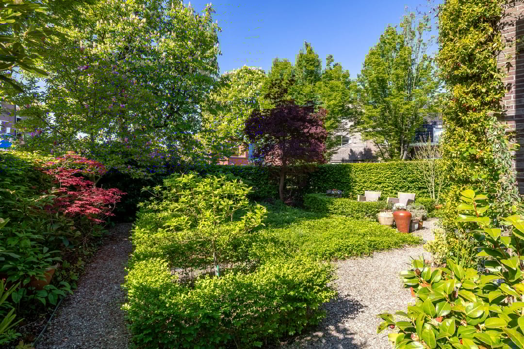 Foto 7 van Burgemeester Jollesstraat 16