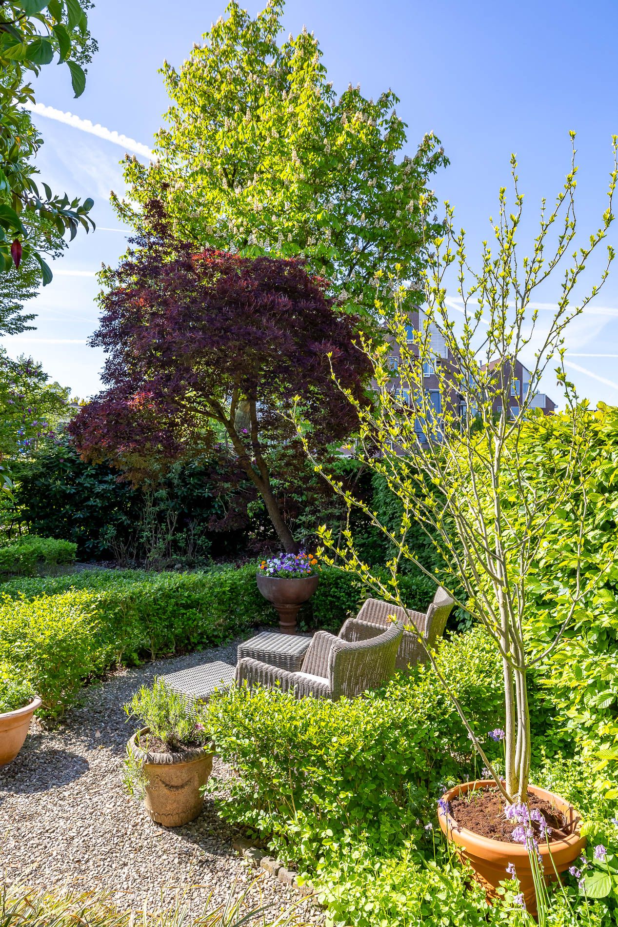 Foto 33 van Burgemeester Jollesstraat 16