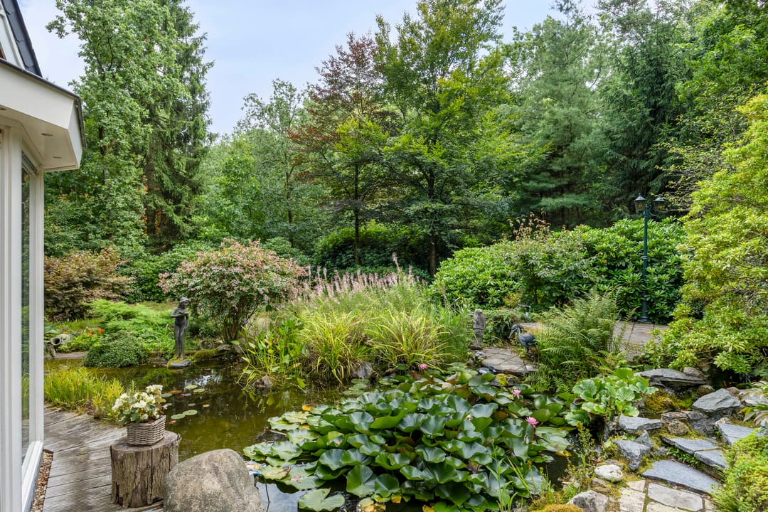 Photo 41 of Molenweg 54