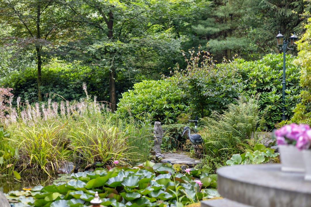 Photo 43 of Molenweg 54