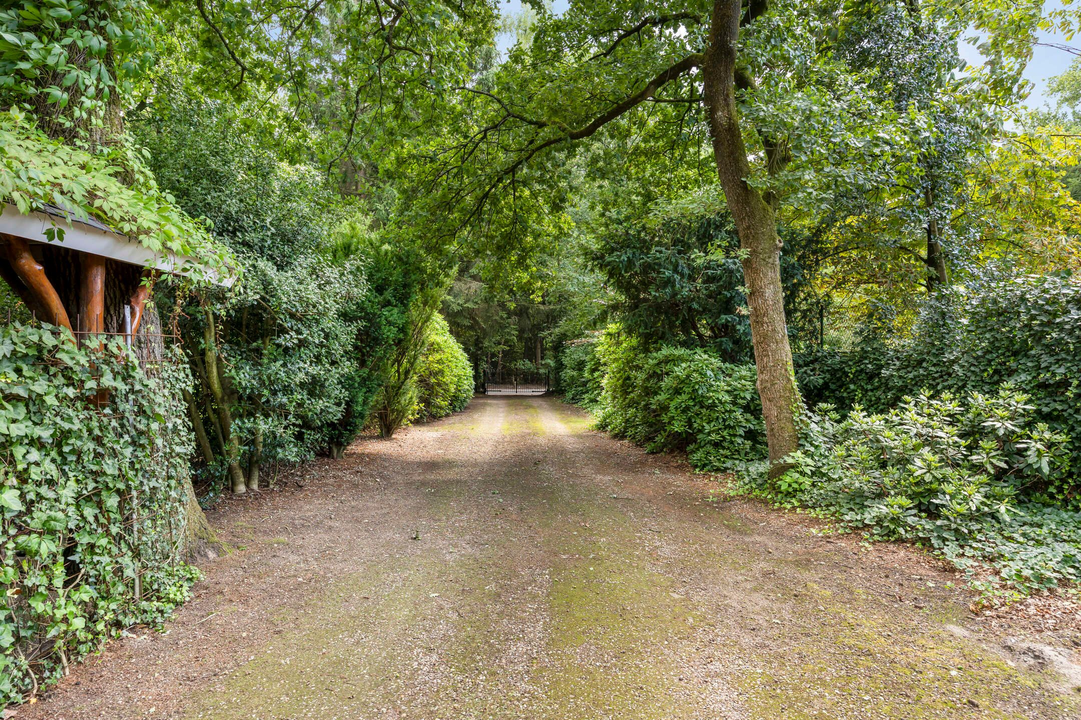 Photo 48 of Molenweg 54