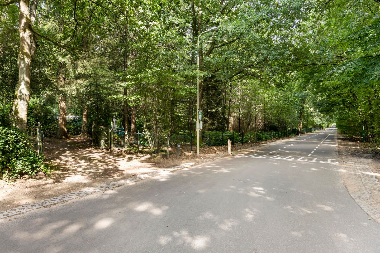 Photo 50 of Molenweg 54