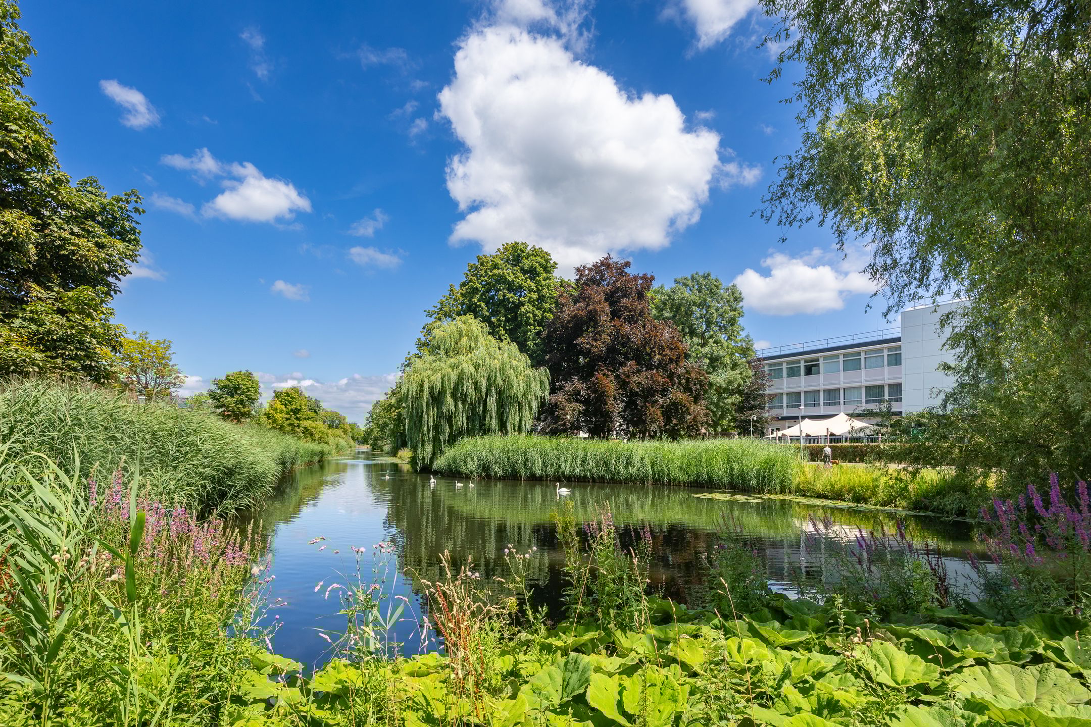 Foto 39 van De Vooysplantsoen 16