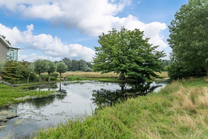 Foto 61 van 't Herberchsfintsje 14