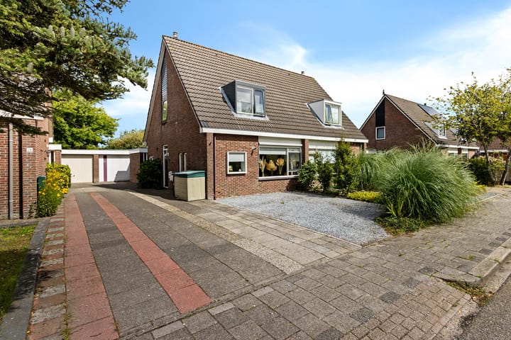 Foto 1 van Venusskulp 26