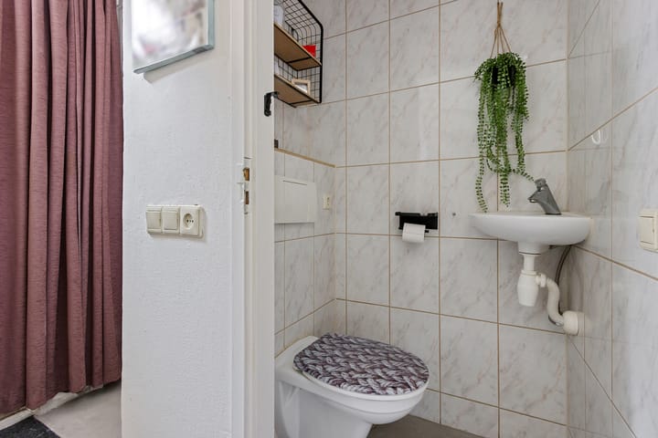 Foto 9 van Venusskulp 26