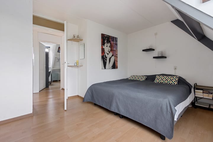 Foto 24 van Venusskulp 26