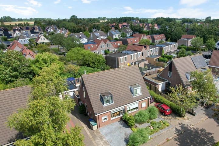 Foto 43 van Venusskulp 26