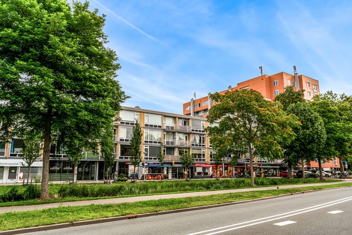 Foto 1 van Prinses Irenelaan 30