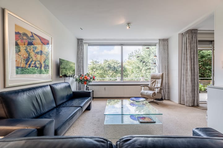 Foto 3 van Meander 291