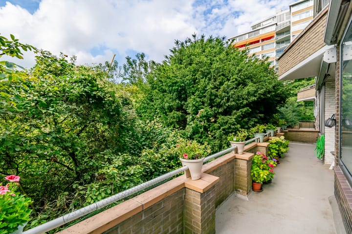 Foto 4 van Meander 291