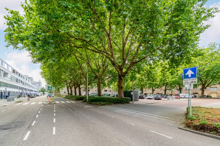 Foto 31 van Meander 291